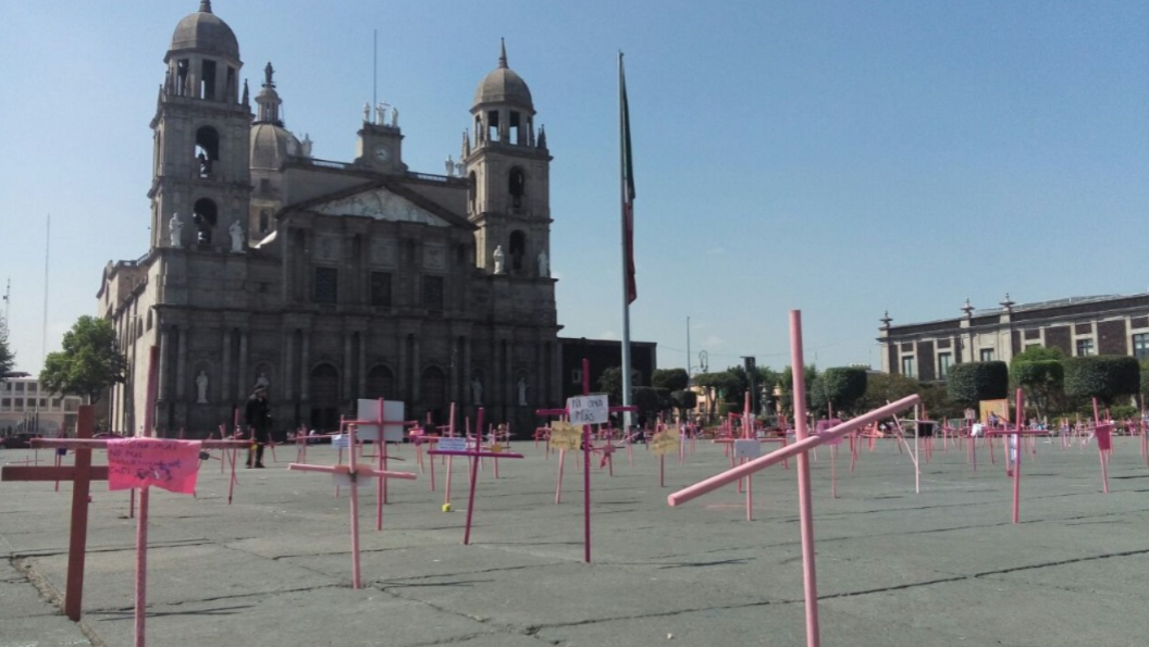 manifestación rosa