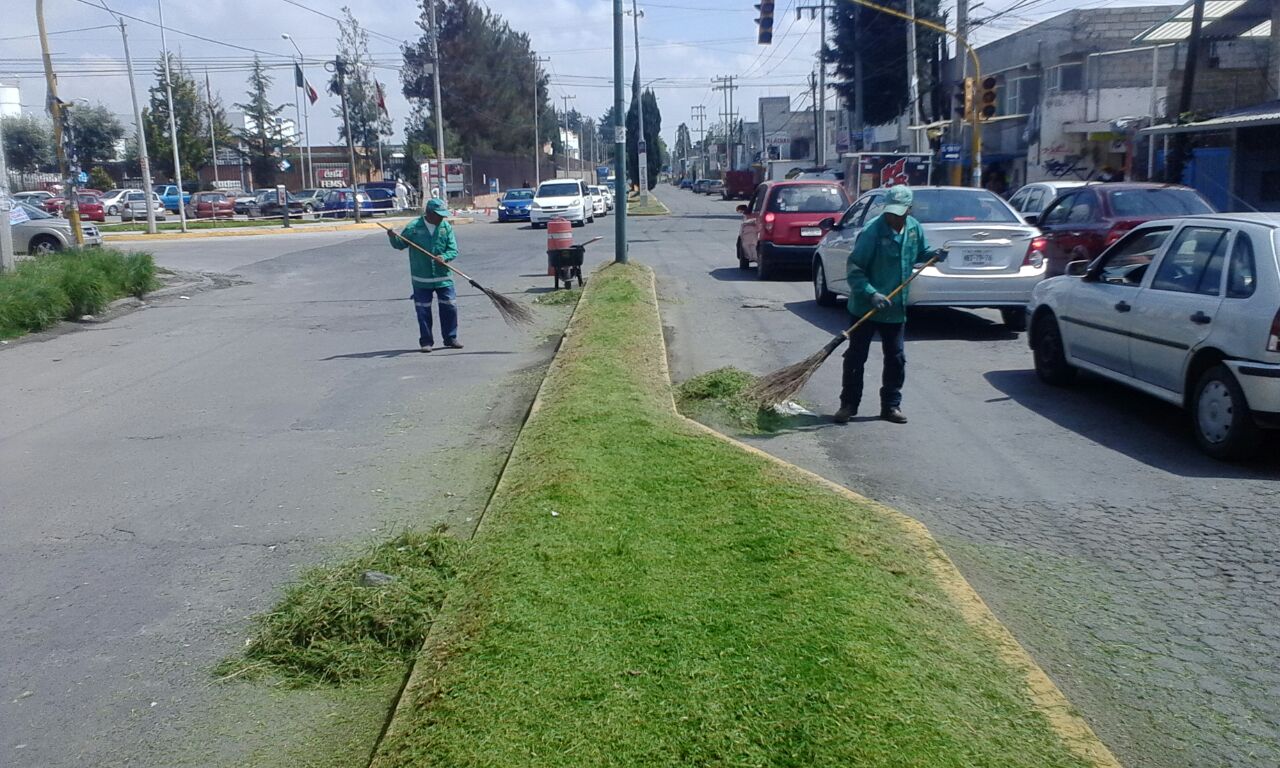 Mantenimiento áreas verdes (7)