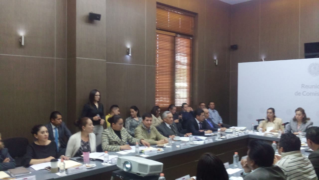 WhatsApp Image 2019-02-07 at 11.30.01 AM