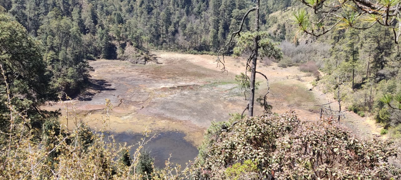 Aspectos de la devastación en el parque nacional Lagunas de Zempoala 4The Observer Méx