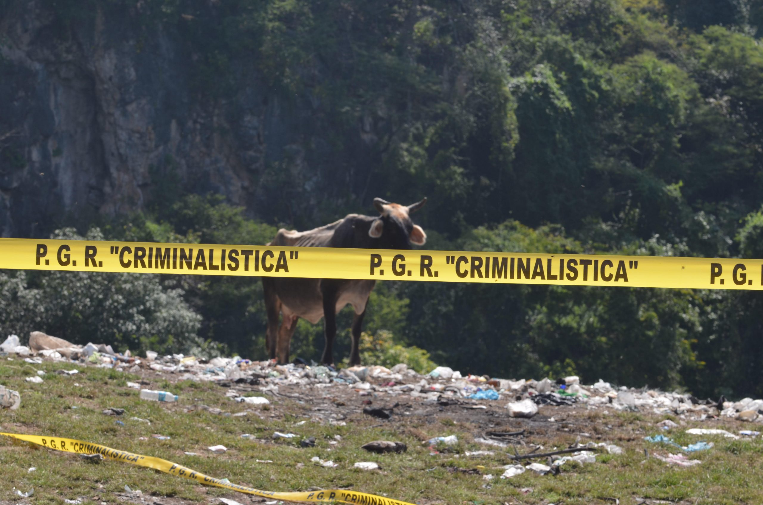 Imagen del basurero de Cocula tomada por Omar Gómez Trejo cuando lo visitó en octubre de 2014. En ese tiempo, el gobierno de Peña Nieto quiso convertirlo en escenario del crimen de los estudiantes.