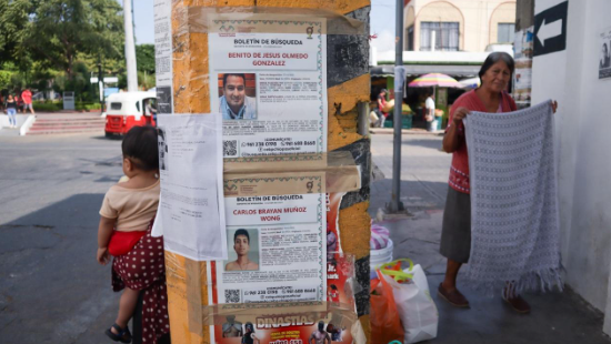 Captura de pantalla 2025-11-30 212551